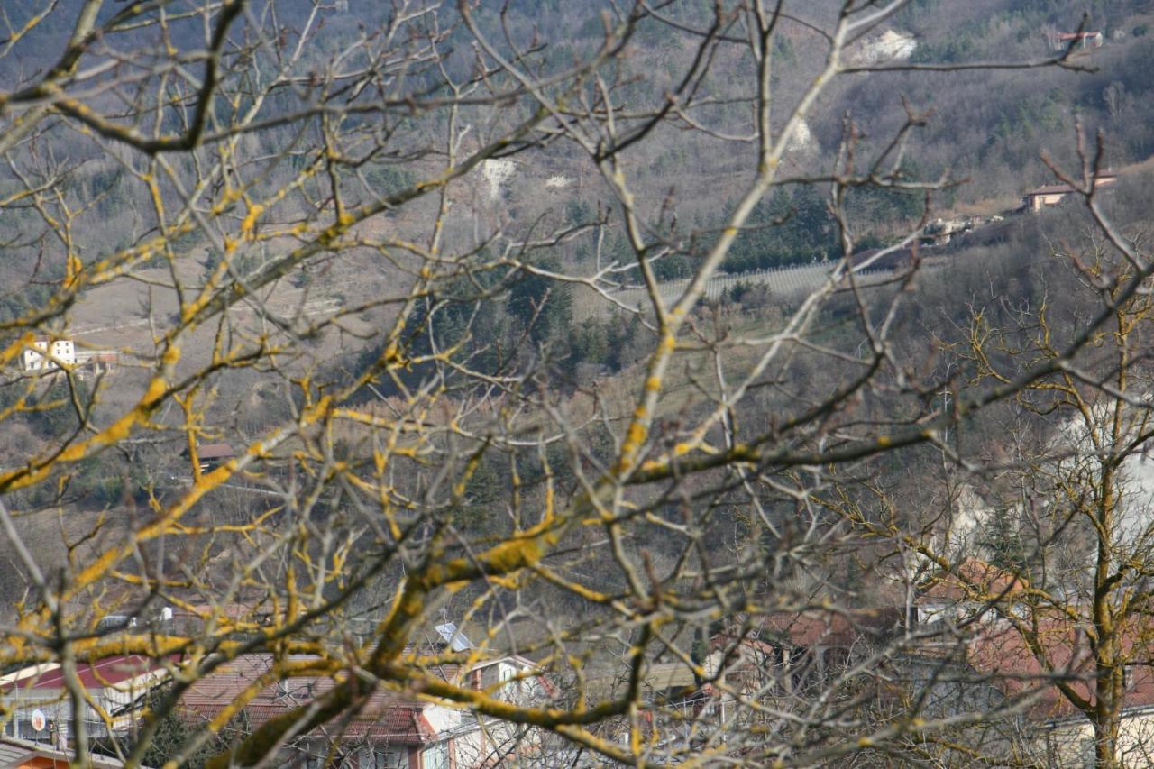 Tenuta Pian D'Attesio - Agriturismo Castelletto Soprano Exterior foto